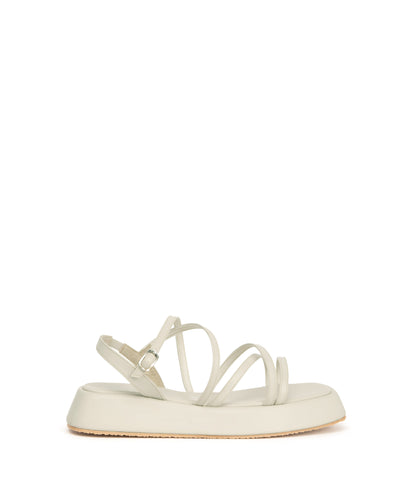 off-white,36